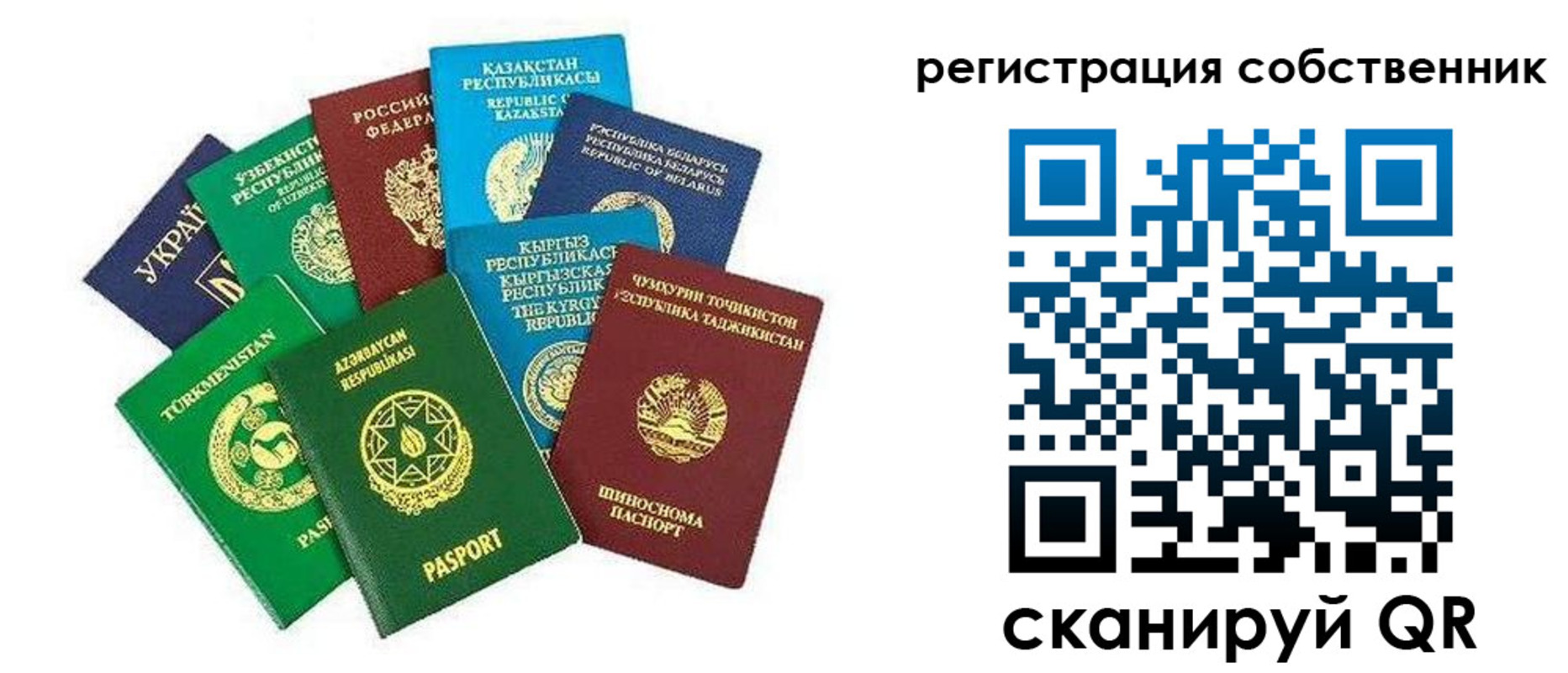 форма 3 в Бавлах